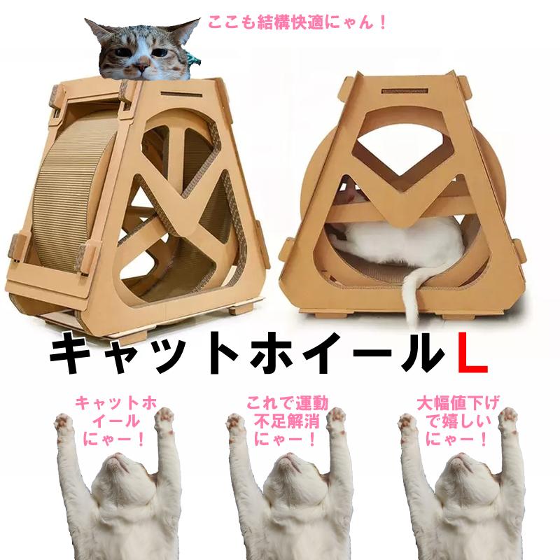 全国通販ok キャッツ エクササイズホイール Lサイズ 成猫用 ダンボール ダイエット キャットウィール ランニングマシン 送料無料 売り出し最安価格 Ssl Daikyogo Or Jp