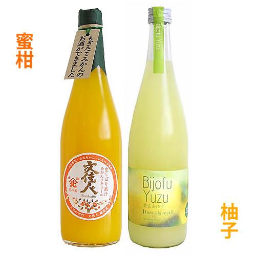 リキュール 高知 フルーツリキュールセット (アリサワ酒造 文佳人