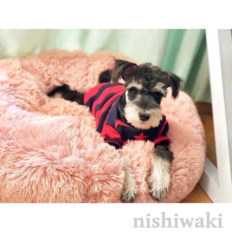 クッション ペット 犬ベッド 犬用品 ペット用 ベッド 可愛い 犬 猫用品 マット  ペットベッド 春 秋 冬 寝具 猫ベッド 暖か ペットハウス ワンちゃん おしゃれ｜nishiwaki｜03