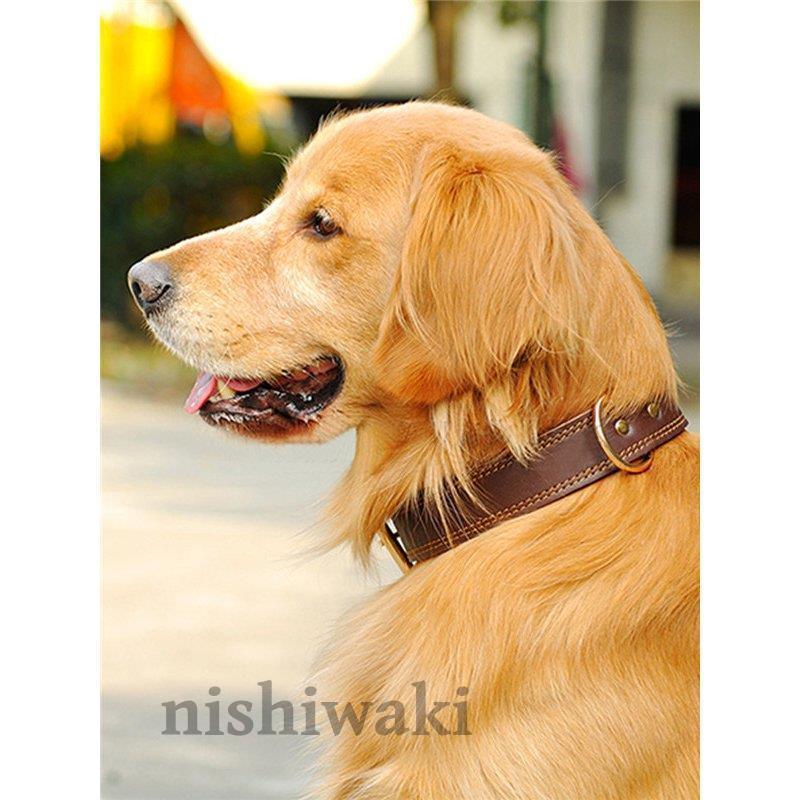 犬 ベーシック 首輪 犬首輪 革 おしゃれ かわいい 小型犬 中型犬 大型犬 本革 犬の首輪 チワワ トイプードル 牛革 くびわ 犬用品 :fd-1120nz-csl59:西脇通販 - 通販 - Yahoo!ショッピング 犬 ベーシック 首輪 犬首輪 革 おしゃれ かわいい 小型犬 中型犬 大型犬 本革 犬の首輪 チワワ トイプードル 牛革 くびわ 犬用品 :fd-1120nz-csl59:西脇通販 - 通販 - Yahoo!ショッピング