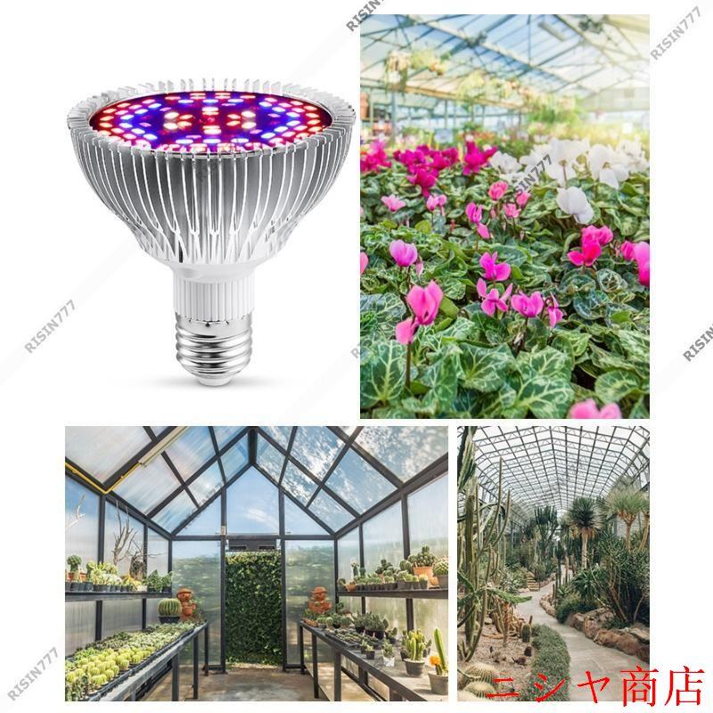 植物育成ライト led 吊り下げ 多肉植物 家庭菜園 水耕栽培 植物育成ライト led 吊り下げ 多肉植物 家庭菜園 水耕栽培
