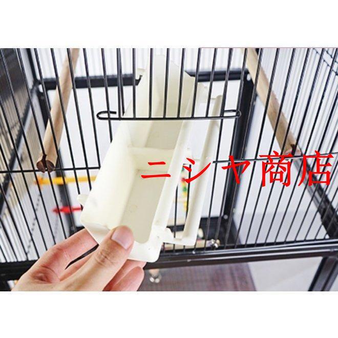 コザクラインコ　剥製 コザクラインコ | インコ・オウム | 鳥類 | 剥製の製作・直売