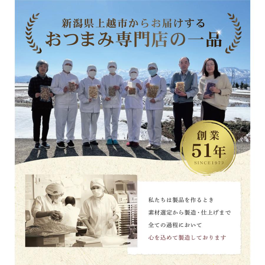 珍味 おつまみ イカ天 スナック 乾き物 お取り寄せ 干物 お菓子 酒の肴 業務用 大容量500gサイズ しっとりするめ天 500g｜nishizawach｜05