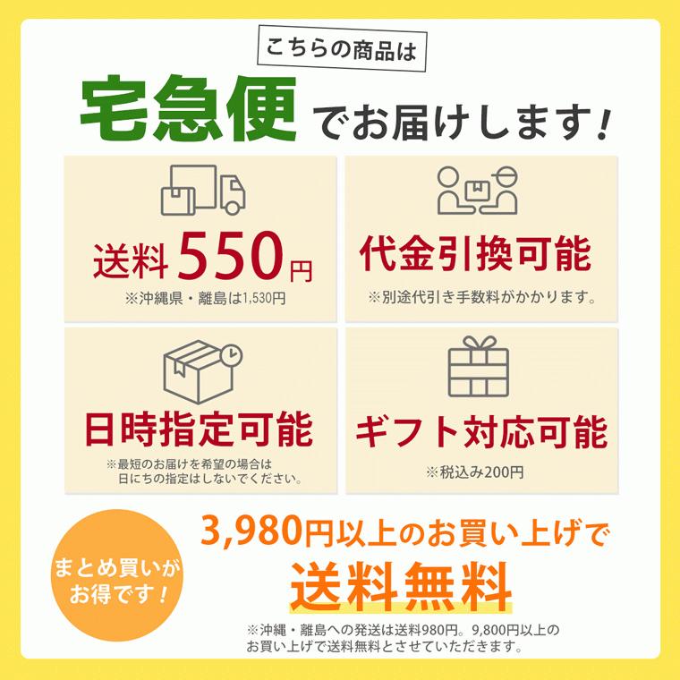 珍味 おつまみ ロッキーカルパス 酒の肴 お取り寄せ カルパス お菓子 業務用 大容量500gサイズ ドライソーセージ 13g×50本｜nishizawach｜11