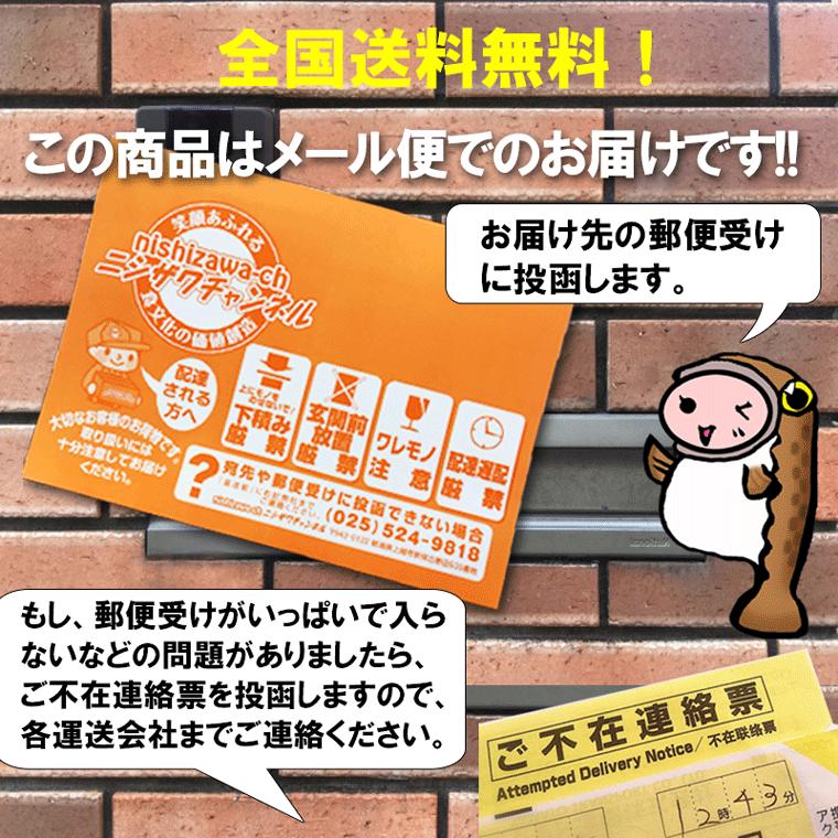 おつまみ 珍味 サーモン 鮭 乾き物 セール 酒の肴 ポイント消化 ゆうパケ送料無料 鮭スティック 70g 1000円 ポッキリ 送料無料    　｜nishizawach｜07