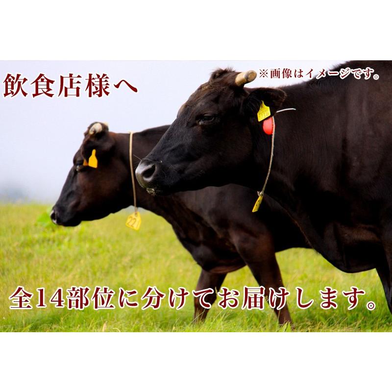 牛肉 近江牛 A5 340kg まるごと一頭販売 キャンセル不可商品 送料無料 老舗高級肉卸 日産食品 通販 Yahoo ショッピング