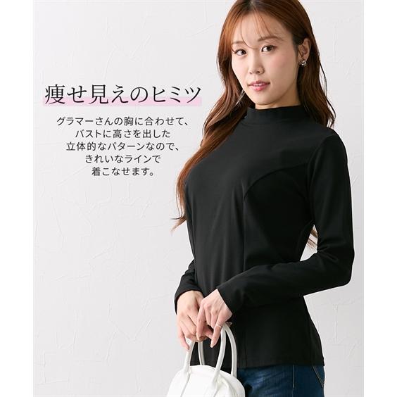 ニッセン 大きい胸専用 レディース トップス 洗える プチ ニッセン 大きい胸専用 レディース トップス 洗える プチ