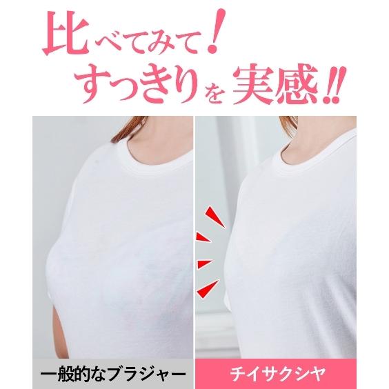 ブラジャー ワイヤー入り レディース 小胸 メイク チイサクシヤ G70 G75 G80 ニッセン Nissen Zzy4319e5251 ニッセンyahoo 店 通販 Yahoo ショッピング