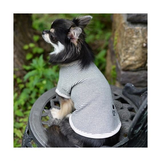 ペット用品 Jekyllegg ジキルエッグ Je212 くつろぎtシャツ ニッセン Nissen Zzy4319h1698 ニッセンyahoo 店 通販 Yahoo ショッピング