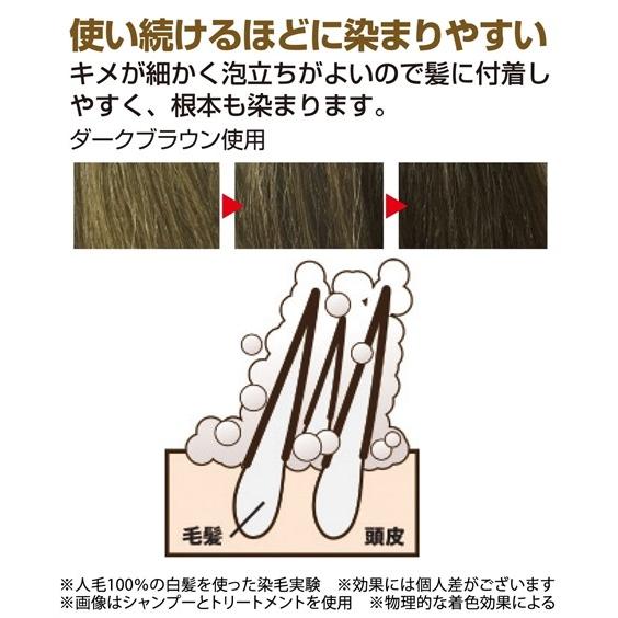 カラーリング 昆布の白髪用カラー シャンプー トリートメント シャンプー 300ml トリートメント 250g ニッセン Nissen Zzy43a5376 家具 インテリア ニッセン 通販 Yahoo ショッピング