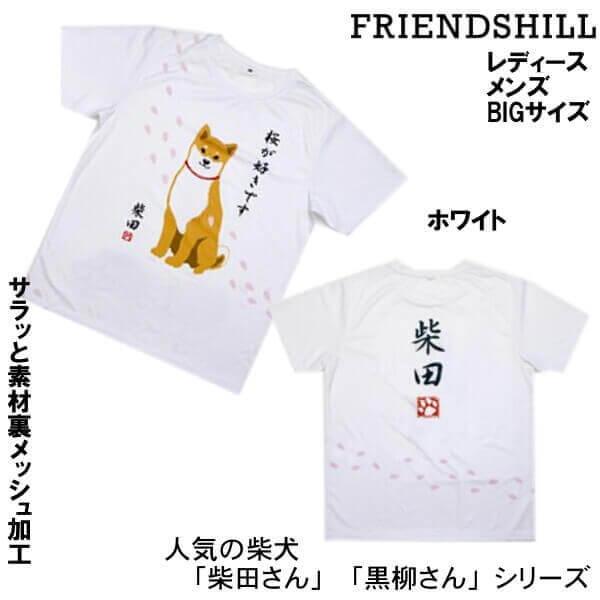 柴犬 さくらだ しばたさん サクラですか Tシャツ 男女兼用 カットソー M L XL Bigサイズ 犬 グッズ ルームウェア フレンズヒル 人気アイテム メール便 発送｜nissenren-numazu｜02