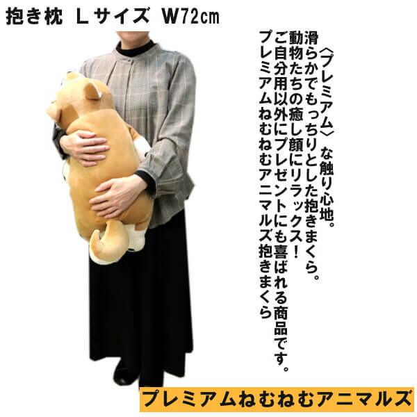 りぶはあと 抱き枕 プレミアムねむねむアニマルズクール 柴犬の柴犬のコタロウ Lサイズ W73xD32xH18cm 58016-44 z2zed1b Amazon｜りぶはあと 抱き枕 プレミアムねむねむアニマルズ 柴犬の