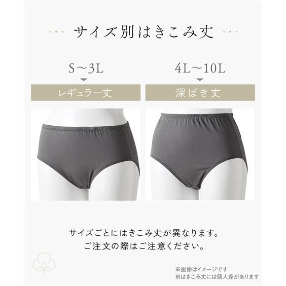 ショーツ ショーツ セット レディース 10枚組 綿100％ シンプル カラー 天竺 レギュラー S/M/L/LL ニッセン nissen | ニッセン | 06