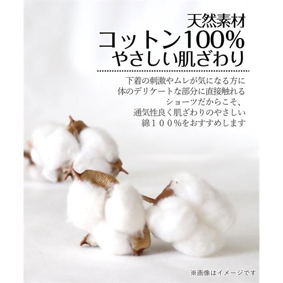 福袋 ショーツ セット レディース 8枚組 綿100％ 深ばき フライス レーシー M/L ニッセン nissen | ニッセン | 06