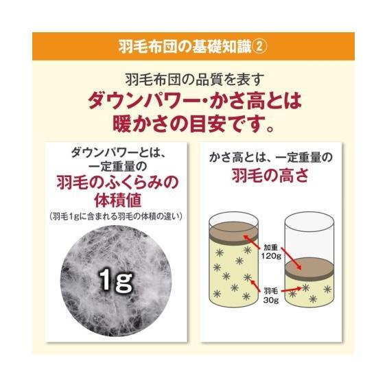 ニッセン（nissen） 掛け布団 日本製 抗菌防臭 羽毛掛 布団 ホワイト