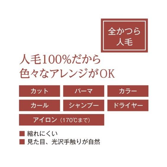 ニッセン ウィッグ アートネイチャー 生え際ナチュラル 人毛100 ニッセン ウィッグ アートネイチャー 生え際ナチュラル 人毛100