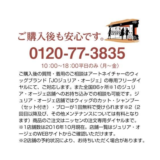 ニッセン ウィッグ アートネイチャー 生え際ナチュラル 人毛100 ニッセン ウィッグ アートネイチャー 生え際ナチュラル 人毛100