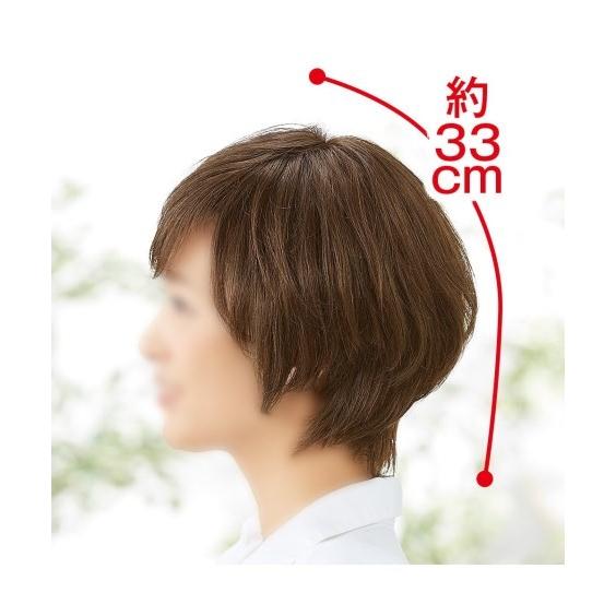 ニッセン ウィッグ アートネイチャー 生え際ナチュラル 人毛100 ニッセン ウィッグ アートネイチャー 生え際ナチュラル 人毛100