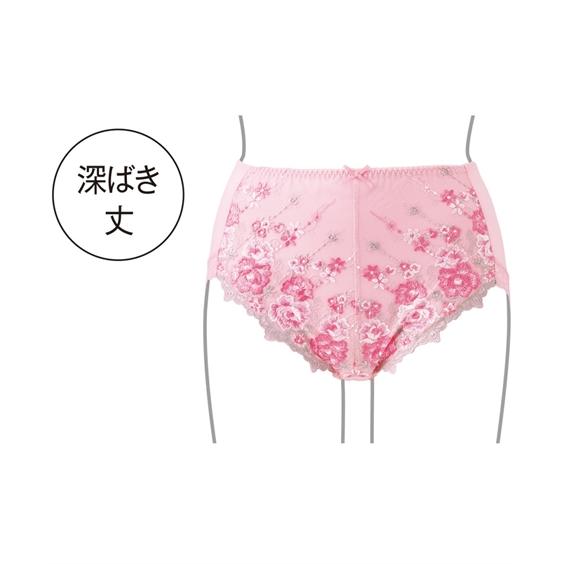 ショーツ スタンダード レディース 綿100％ レーシー深ばき 10枚組 M/L ニッセン nissen | ニッセン | 20