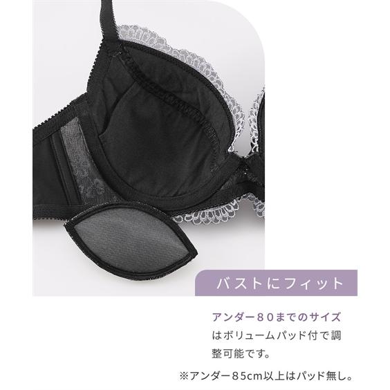 ブラジャー ブラジャー ワイヤー入り レディース フラワー レース 3枚組 ( トリンプ ) A70〜E80 ニッセン nissenの画像