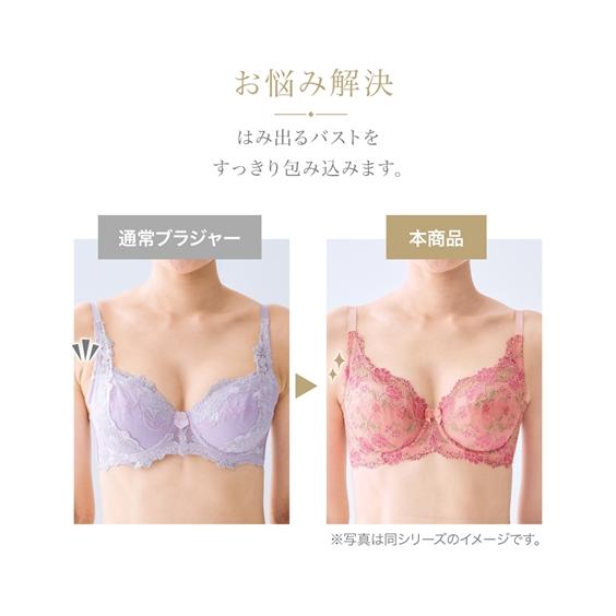 ニッセン ブラジャー ワイヤー入り レディース 脇背中高い フル ニッセン ブラジャー ワイヤー入り レディース 脇背中高い フル