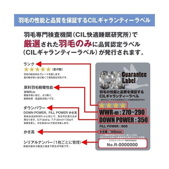 寝具 掛け布団 日本製 抗菌防臭 防ダニ 羽毛布団 ダックダウン93％ シングル ニッセン nissen｜nissenzai｜17