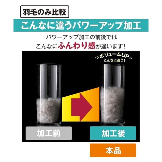 寝具 掛け布団 日本製 抗菌防臭 防ダニ 羽毛布団 ダックダウン93％ シングル ニッセン nissen｜nissenzai｜13