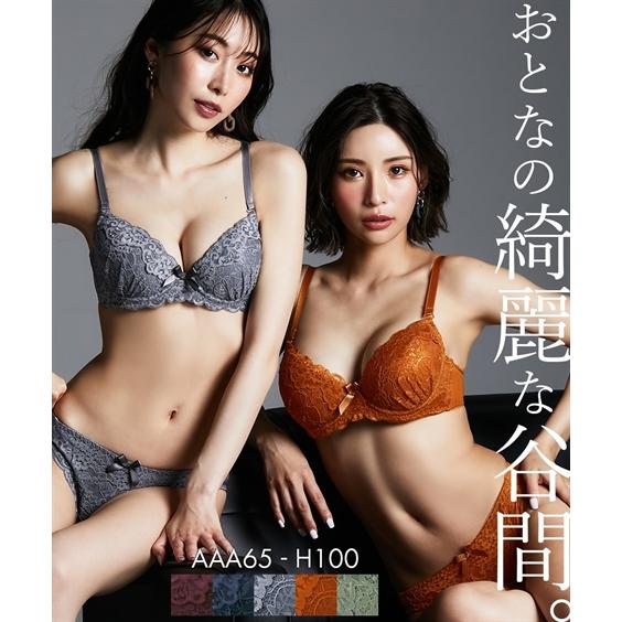 ニッセン（nissen） ブラジャー ショーツ セット レディース ダーク