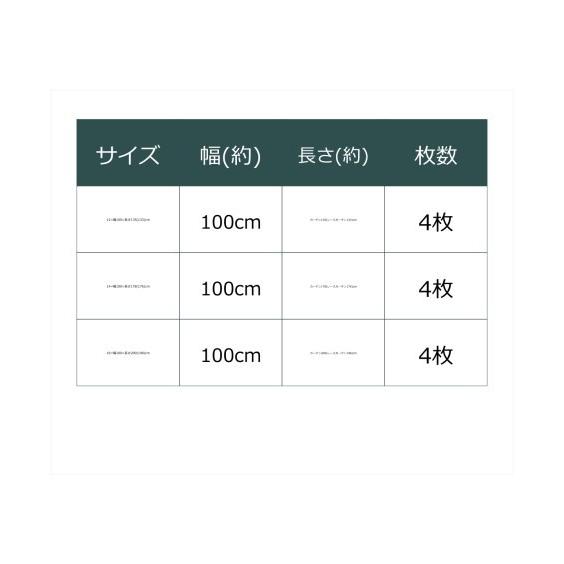 ニッセン（nissen） カーテン レース セット ディズニー 遮光 4枚