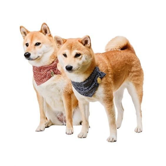 ペット Amoworks バンダナ 唐草小判 S ニッセン ニッセン Paypayモール店 通販 Paypayモール