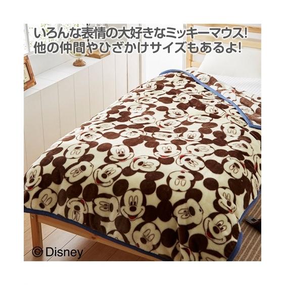 毛布 ディズニー ミッキーマウス ミニーマウス ドナルドダック チップ デール 選べる4柄あたたかニューマイヤー ハーフ ニッセン Nissen ニッセン Paypayモール店 通販 Paypayモール