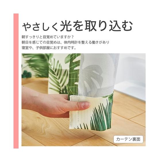 ニッセン（nissen） カーテン レース セット ボタニカル柄 ＆遮熱昼間