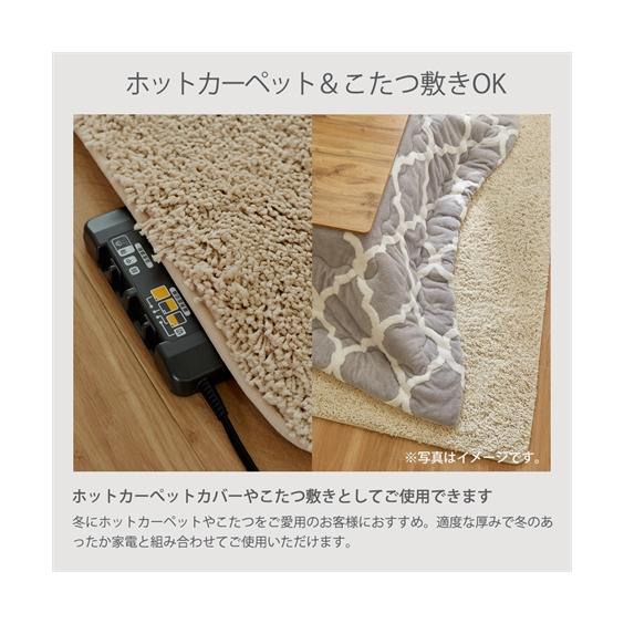 ニッセン（nissen） ラグ 洗える 防ダニ 抗菌防臭 シャギーラグ