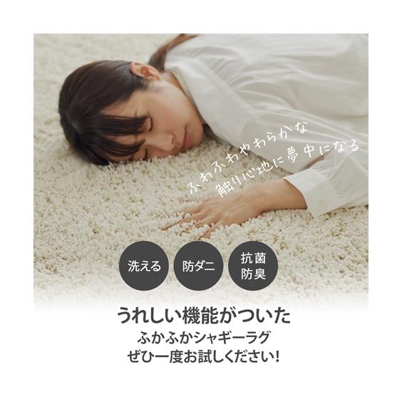 ニッセン（nissen） ラグ 洗える 防ダニ 抗菌防臭 シャギーラグ