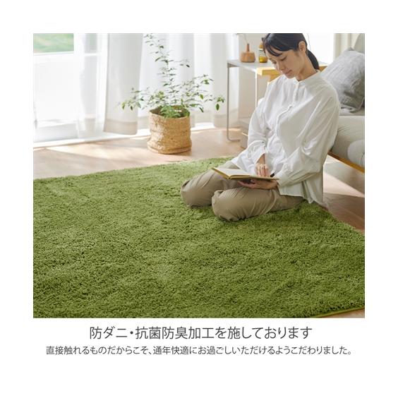 ニッセン（nissen） カーペット・ラグ ラグ 洗える 防ダニ 抗菌防臭