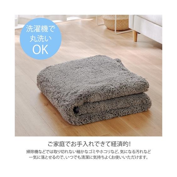 ニッセン（nissen） ラグ 洗える 防ダニ 抗菌防臭 シャギーラグ