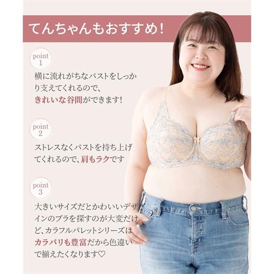 ニッセン（nissen） ブラジャー ワイヤー入り 大きいサイズ レディース