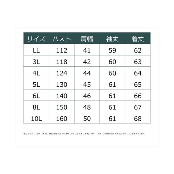 大きいサイズ レディース ベーシック シャツ 8L/10L ニッセン nissen｜nissenzai｜09