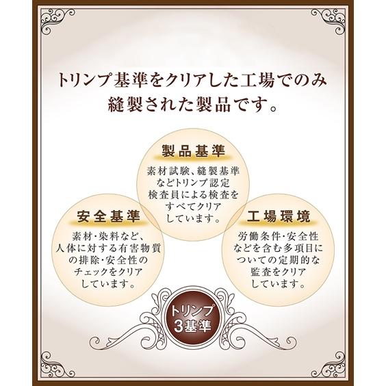 ニッセン ブラジャー ショーツ セット 大きいサイズ レディース ニッセン ブラジャー ショーツ セット 大きいサイズ レディース