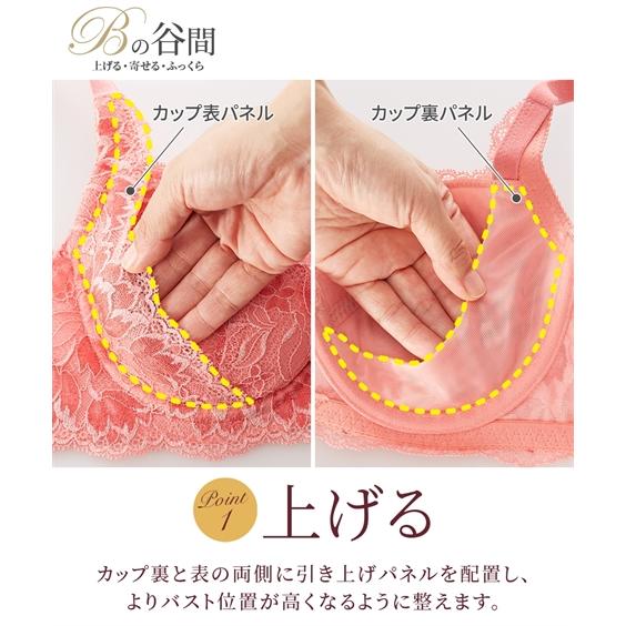ニッセン ブラジャー ワイヤー入り レディース 盛り上げ 日本製 ニッセン ブラジャー ワイヤー入り レディース 盛り上げ 日本製