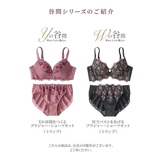 ニッセン ブラジャー ショーツ セット レディース Yの谷間を ニッセン ブラジャー ショーツ セット レディース Yの谷間を