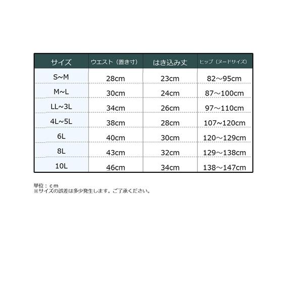ショーツ ショーツ レディース 総レース ふんどしショーツ まるでNOパン 2枚組 ニッセン nissen | ニッセン | 29