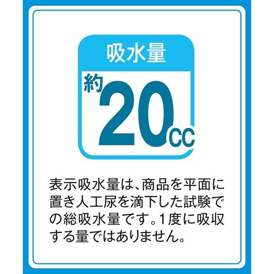 ショーツ サニタリー レディース デュアルマジック 吸水 2枚組 羽付ナプキン対応 M/L/LL/3L ニッセン nissen｜nissenzai｜06