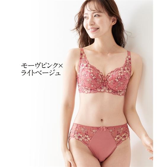 ニッセン ショーツ スタンダード 大きいサイズ レディース ニッセン ショーツ スタンダード 大きいサイズ レディース