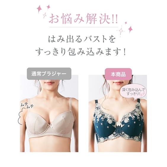 ニッセン（nissen） ブラジャー ショーツ セット レディース 刺しゅう