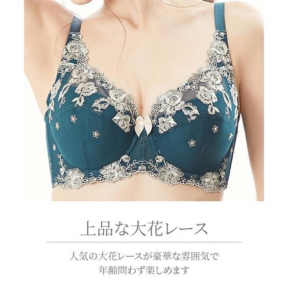 ニッセン ブラジャー ショーツ セット レディース 刺しゅう ニッセン ブラジャー ショーツ セット レディース 刺しゅう
