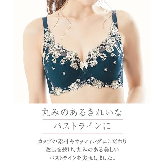 ニッセン（nissen） ブラジャー ショーツ セット レディース 刺しゅう