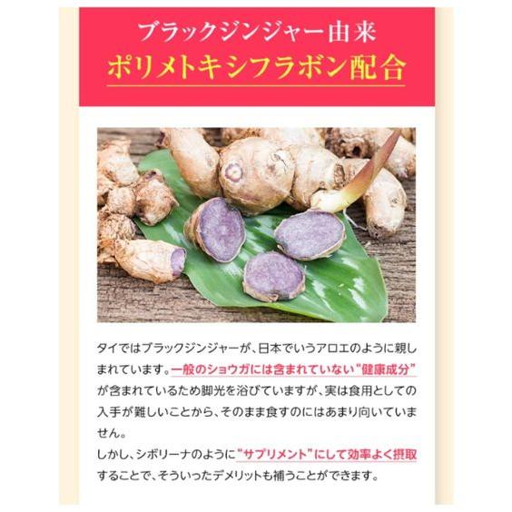 ニッセン（nissen） 食品 健康 機能性表示食品 シボリーナ 春 夏 秋 冬