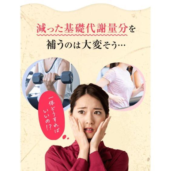 ニッセン（nissen） 食品 健康 機能性表示食品 シボリーナ 春 夏 秋 冬