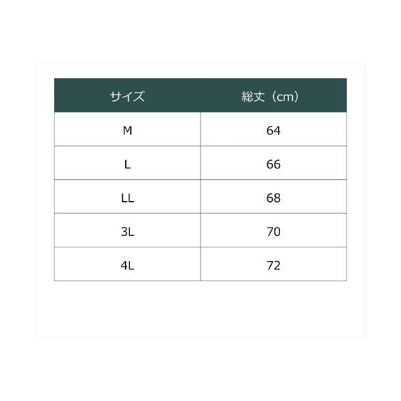 ペチパンツ レディース トイレで便利 ワイドボトム用 2枚組 メッシュ仕様 LL/3L/4L ニッセン nissen｜nissenzai｜21